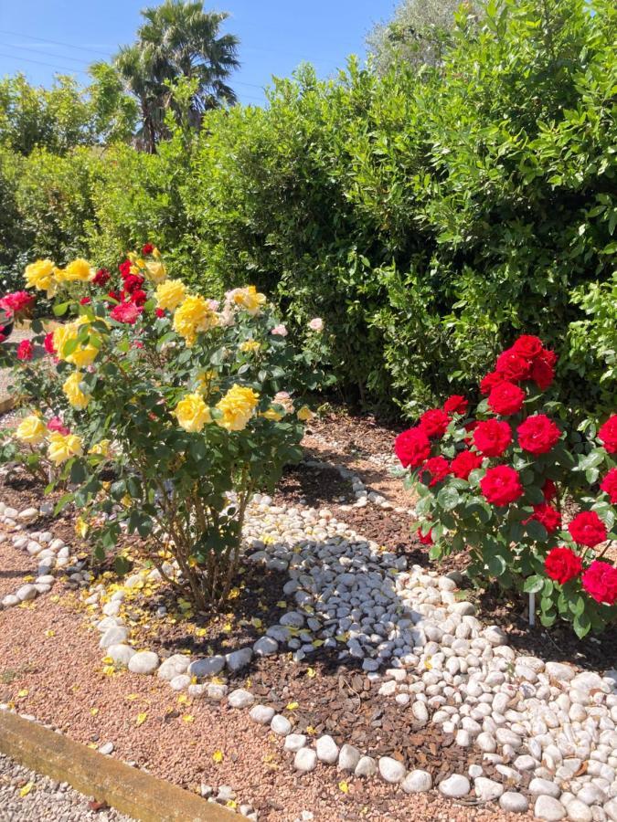 La Rosa Del Lago Bracciano  Dış mekan fotoğraf