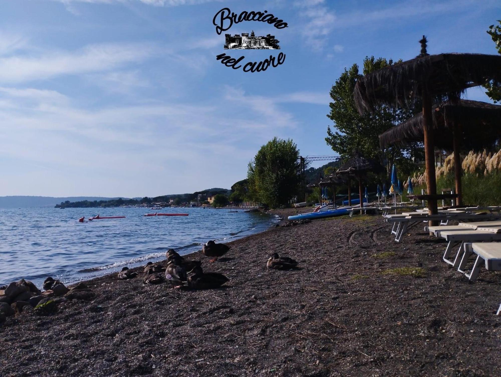 La Rosa Del Lago Bracciano  Dış mekan fotoğraf