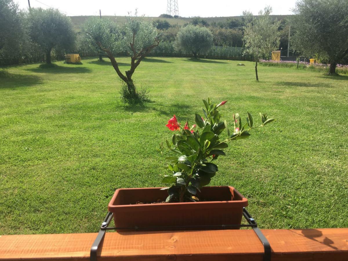 La Rosa Del Lago Bracciano  Dış mekan fotoğraf