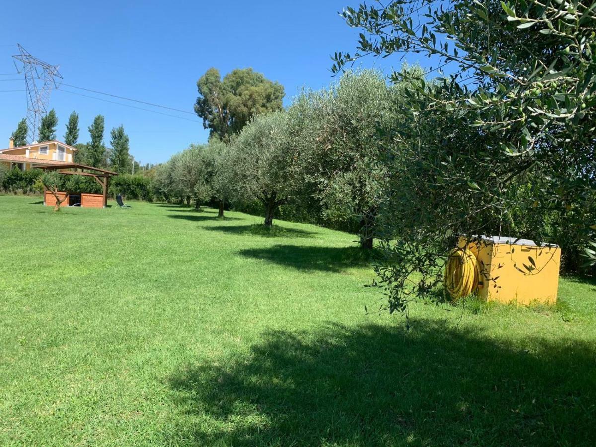 La Rosa Del Lago Bracciano  Dış mekan fotoğraf